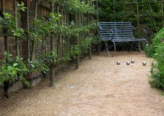 a wooden bench sitting in the middle of a garden next to a tree lined fence