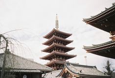 the pagodas are tall and brown in color