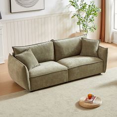 a living room scene with focus on the sofa