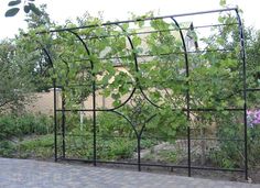 an iron trellis with vines growing on it's sides near a brick walkway