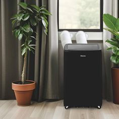 a room with two plants and a black air purifier