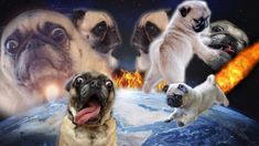 four pug dogs are standing in front of the earth with fire coming out of their mouths