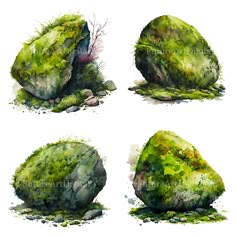 four watercolor paintings of rocks and grass