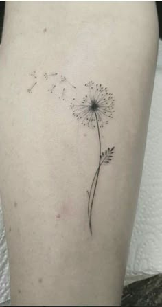 a small dandelion tattoo on the back of a woman's left thigh