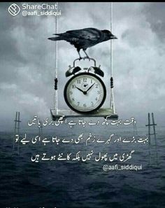 a bird sitting on top of an alarm clock in the middle of water with words written below it