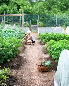 a woman kneeling down in the middle of a garden filled with plants and veggies