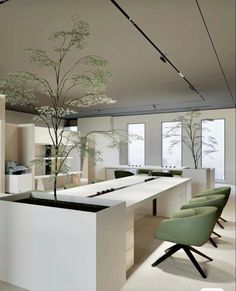 an office with two desks, chairs and a tree in the middle of it