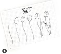 an open notebook with flowers drawn on it and the words how to draw tulips