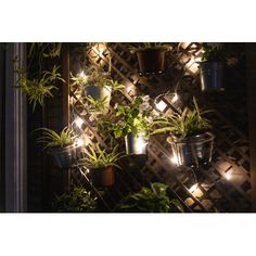 several potted plants are lit up on a wall