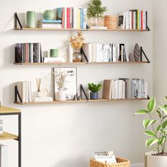 the shelves are filled with books and plants