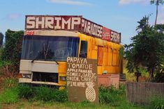 an old bus sitting in the middle of a field with graffiti on it's side