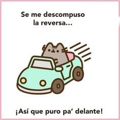 a cat driving a car with the caption'se me descompuo la reversa '