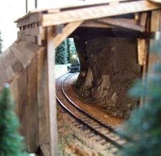 there is a small train coming out of the tunnel on the tracks in the woods