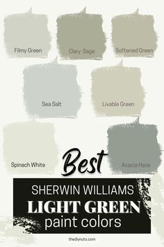 the best sheryln williams light green paint colors