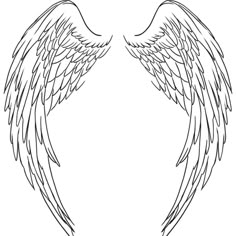 an angel wings outline on a white background