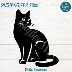 a black cat sitting on top of a white wooden floor with the words svngger's files