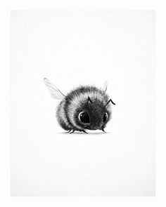 a black and white drawing of a bee looking at the camera with eyes wide open