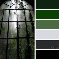 an open window with vines growing on it and the colors green, gray, and white