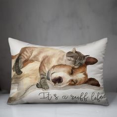 a cat and dog are sleeping together on a pillow that says it's drunk like