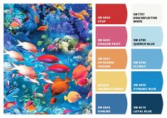 the color palette is blue, red, and yellow with an assortment of tropical fish