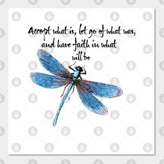 a blue dragonfly sitting on top of a white background with the words, accept what is