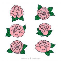 four pink roses with green leaves on them, one is cut in half and the other has