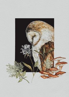 a painting of mushrooms and flowers on a black background with white paper in the middle