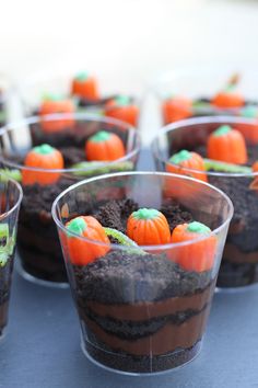 several cups filled with dirt and fake pumpkins