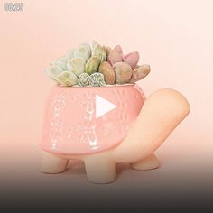 a pink ceramic planter with succulents and rocks in it's shell