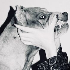 a woman is petting a dog's face with her hand and nose close to it