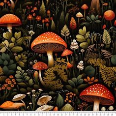 an image of mushrooms and plants in the forest with ruler on it's side