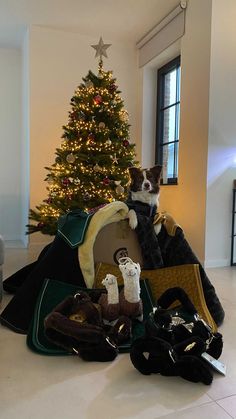 a dog is sitting on a couch in front of a christmas tree and stuffed animals