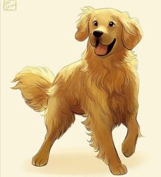 a drawing of a golden retriever dog standing with its front paws on the ground