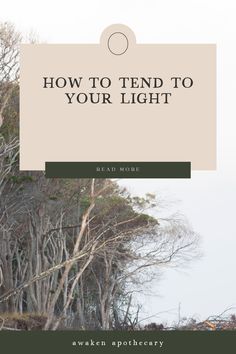 In tis post I'm sharing simple strategies to help you tend to your inner light so you can thrive in this world as a sensitive soul. Including a sound bath and reiki meditations to help you stay calm. Sensitive Soul, Energy Clearing, Sound Bath, Reiki Meditation, Inner Light, Stay Calm, Intentional Living, Energy Field, Empath