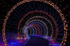 an archway covered in christmas lights with snow on the ground and trees all around it