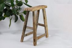 a wooden stool next to a potted plant