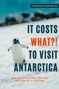 a penguin with the words it cost what? to visit antarctica on it