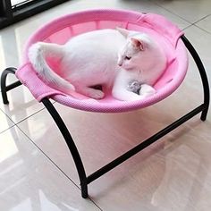 a white cat laying in a pink pet bed on top of a metal stand next to a window