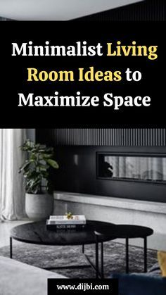 minimalist living room ideas to maximumize space cover image with text that reads minimalist living room ideas to maximumize space