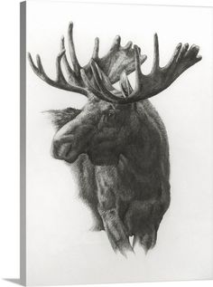 a black and white drawing of a moose's head with antlers on it