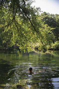 a person swimming in the water under a tree