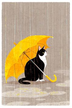 a black and white cat sitting on the ground under an open umbrella in the rain