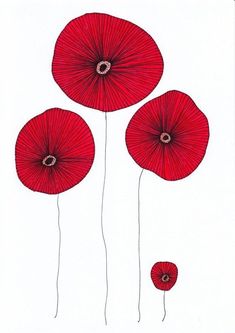 three red flowers on a white background