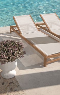 two chaise lounges next to a pool with flowers in the foreground and water in the background