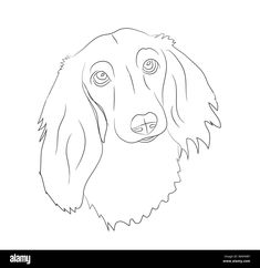 a drawing of a dog's face in black and white