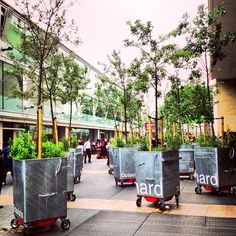 several carts with plants in them on the sidewalk