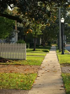 a white picket fence next to a sidewalk in front of a tree and street light