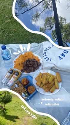 a picnic blanket with food on it in the grass