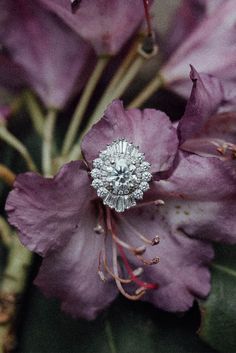 a close up of a flower with a diamond ring on it's center surrounded by purple flowers