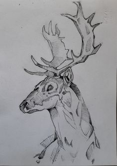 a drawing of a deer with antlers on it's head